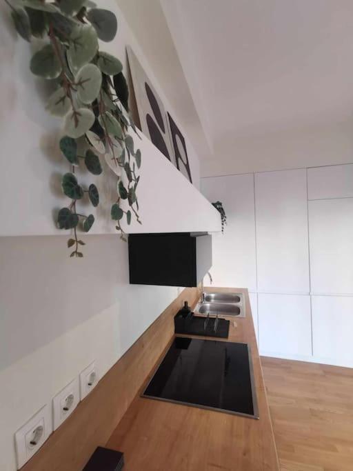 Cdv Stylish Athens Flat Apartment Exterior photo